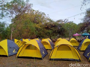 Dispar NTB Sediakan Camping Ground Gratis Untuk Penonton MXGP