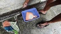 Usia Nurhayati kini genap 70 tahun harus bertahan hidup di tengah kerasnya Ibu Kota. Ia yang kini hidup sendirian harus terus bertahan setelah ditinggal suaminya meninggal dunia pada tahun 2010 lantaran sakit.