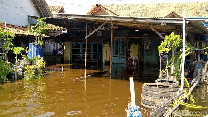 Banjir rob menjebol tanggul Sungai Weduri, Desa Tegaldowo, Kecamatan Tirto, Kabupaten Pekalongan. Sejumlah rumah warga terendam, Jumat (24/6/2022).