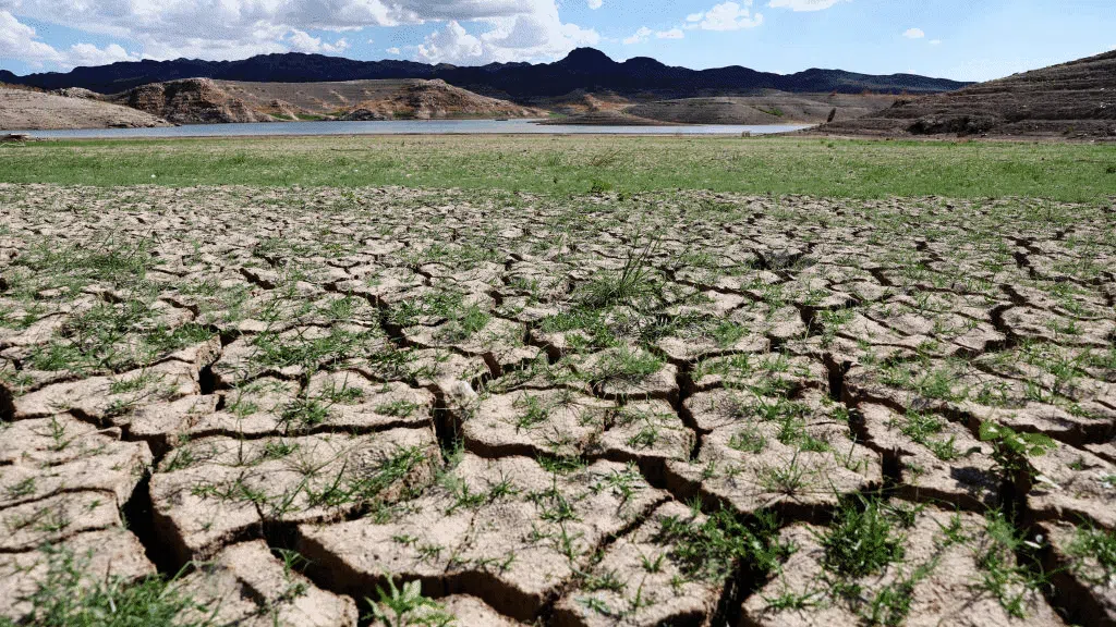 Perubahan Iklim Bikin Danau Mead AS Kering Bak Kolam Mati