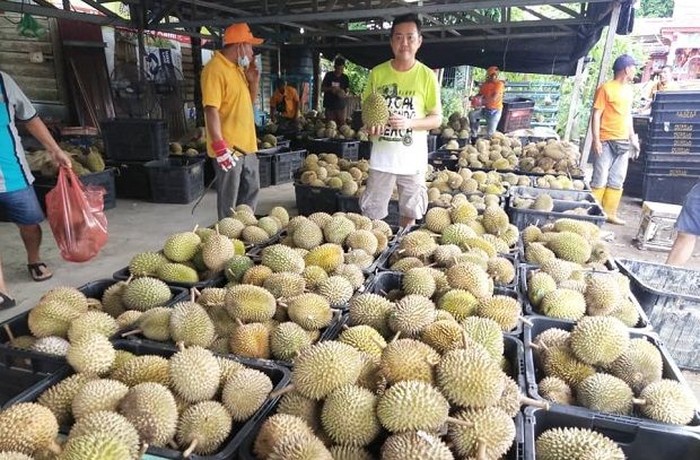 Sebanyak 2 Ton Durian Dibagikan Gratis, Syaratnya Sungguh Mulia!