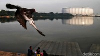 Direktur Utama PT Jakarta Propertindo (JakPro) Widi Amanasto tak menjelaskan lebih rinci alasan peluncuran JIS diundur. Namun, pihaknya memastikan JIS segera diluncurkan usai Jakarta Hajatan.