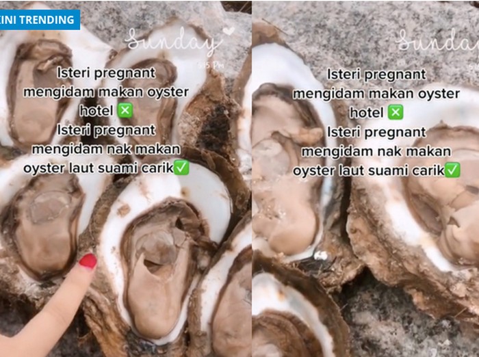 Istri sedan hamil, ngidam ingin makan oyster tangkap sendiri. Suami nekad menyelam.Istri sedan hamil, ngidam ingin makan oyster tangkap sendiri. Suami nekat menyelam. Istri sedan hamil, ngidam ingin makan oyster tangkap sendiri. Suami nekad menyelam.Istri sedan hamil, ngidam ingin makan oyster tangkap sendiri. Suami nekat menyelam.
