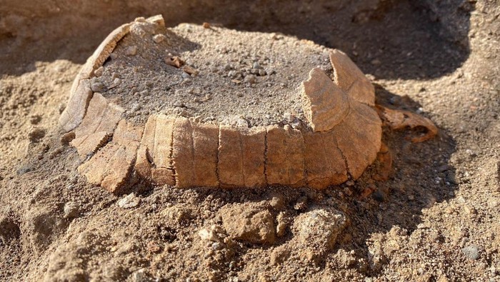 A preserved land tortoise egg, which was found among the excavations in the archaeological site of the ancient Roman city of Pompeii, is pictured in Pompeii, Italy, in this undated photo obtained by Reuters on June 24, 2022. Parco Archeologico Pompei/Handout via REUTERS ATTENTION EDITORS THIS IMAGE HAS BEEN SUPPLIED BY A THIRD PARTY. NO RESALES. NO ARCHIVES.