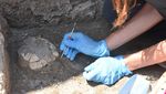 Kerangka Kura-kura Ditemukan di Situs Kota Romawi Pompeii