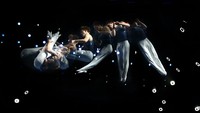 Dalam foto yang menggunakan teknik multiple exposure tersebut, gerakan akrobatik dari para atlet terlihat sangat jelas.
