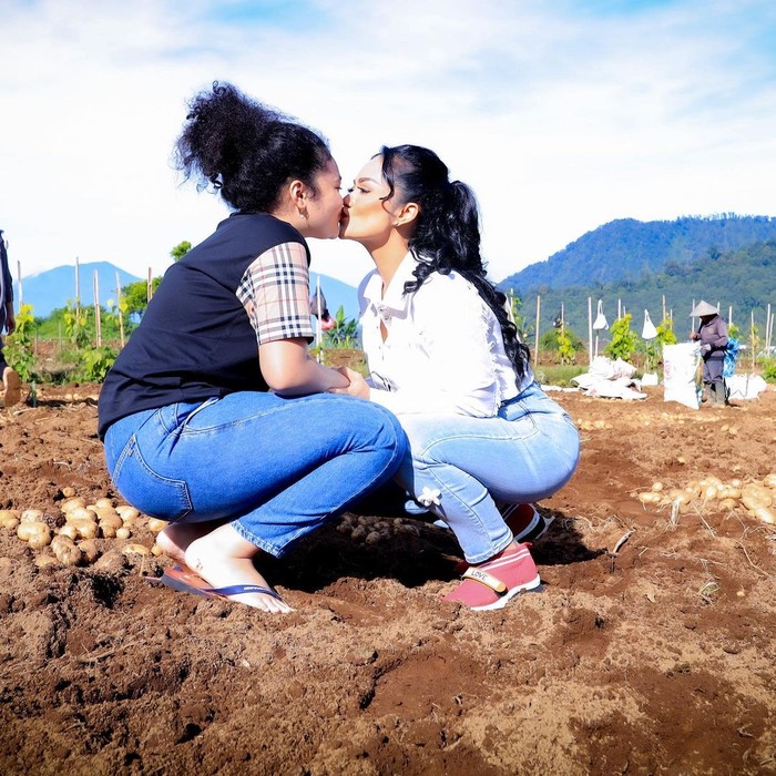 Krisdayanti panen kentang