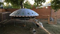 Terobsesi dengan UFO, netizen yang satu ini niat buat kandang ayam dengan konsep UFO yang keren abis. Foto: Pool/Site News