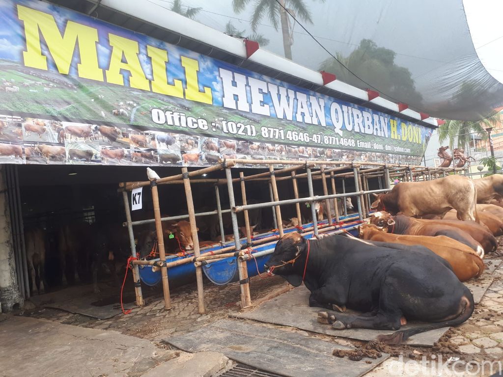 Mall Kurban Haji Doni