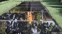 Dari catatan PT SEI, sudah banyak rumah di wilayah Jabotabek hingga pulau Jawa yang menggunakan PLTS ini. Begitupun perkantoran di Kota Bandung dan perusahaan BUMN nantinya akan pakai solar panel dari PT SE.