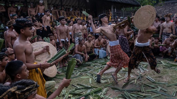 BALI, INDONESIA - JUNE 23: Two Balinese men fight each other using pandanus leaf and rattan shield during the pandanus war ritual called Mekare-kare on June 23, 2022 in Tenganan Pegringsingan Village, Bali, Indonesia. The ancient 