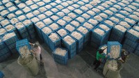 Harga kepompong mulai dari puluhan ribu hingga ratusan ribu per kilogram tergantung kualitasnya.