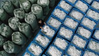 Komoditas penghasil kain sutra tersebut bernilai jutaan rupiah sekali panen.