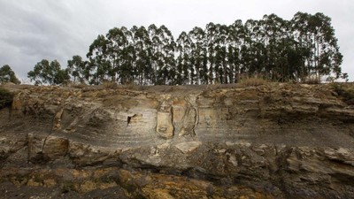 Penemuan Fosil Pohon 290 Juta Tahun Lalu, Jauh Sebelum Era Dinosaurus