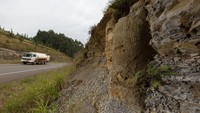 Penampakan fosil yang ditemukan di dalam bebatuan hutan di Ortigueira, Negara Bagian Parana, Brasil selatan, Rabu, (15/6/2022).