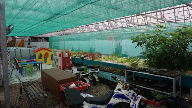 Rumah Bambu di Mojokerto Tawarkan Panorama Alam Persawahan-Pegunungan
