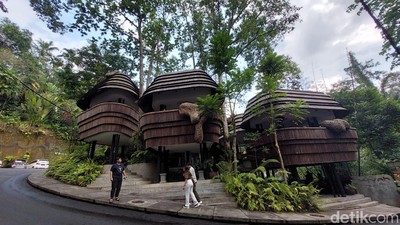 Sarang Lebah Raksasa yang Hits di Ubud