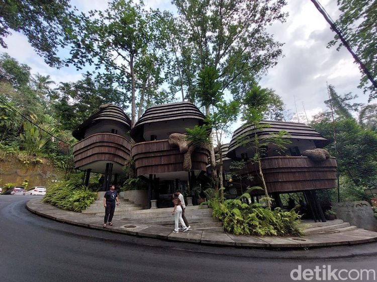 Sarang Lebah Raksasa yang Hits di Ubud