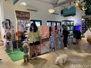 Medan Kini Punya Taman dan Hotel Khusus Anjing, Simak Keseruannya di Sini!