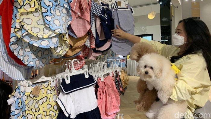 Dog park dan hotel khusus anjing di Medan.