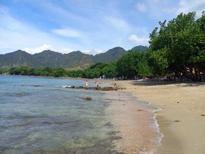 Desa Pemuteran Bali, Desa Terbaik Versi UNWTO 2025