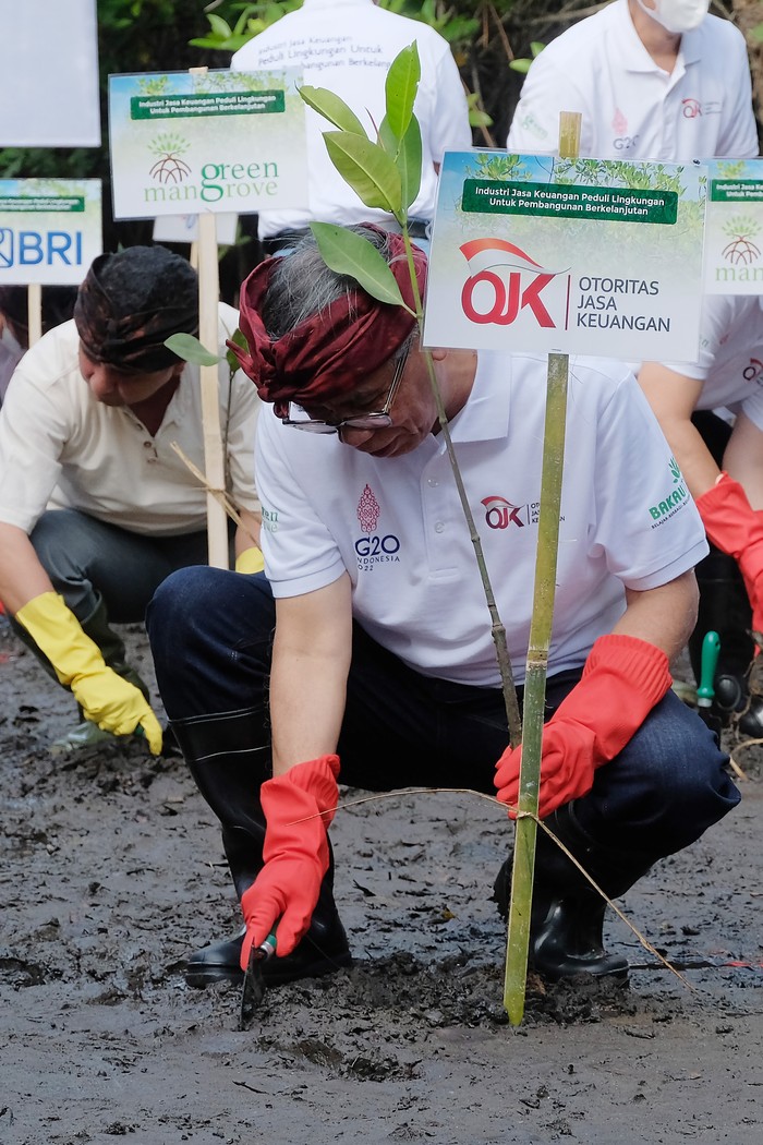 Ketua Dewan Komisioner Otoritas Jasa Keuangan (OJK) Wimboh Santoso (tengah) bersama Kepala Kejaksaan Tinggi DKI Jakarta Reda Manthovani (kiri), Deputi Komisioner Humas dan Logistik Otoritas Jasa Keuangan (OJK) Anto Prabowo (kanan) dan pewarkilan dari Industri Jasa Keuangan (IJK) menunjukkan bibit pohon bakau sebelum ditanam dalam 