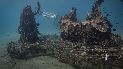 Pesona bawah laut Pantai Pemuteran di Desa Pemuteran, Kecamatan Gerokgak, Kabupaten Buleleng, Bali.