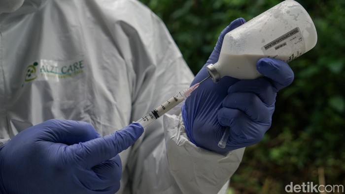 Vaksinasi PMK perdana pada ternak di Sleman, DI Yogyakarta (DIY), Sabtu (25/6/2022).