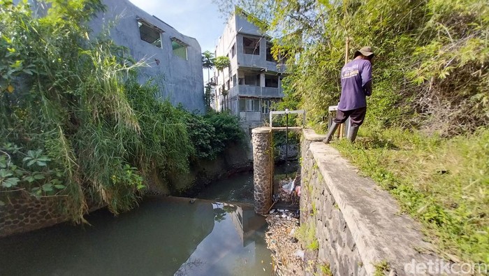 Viral ikan mati di Sungai Malang