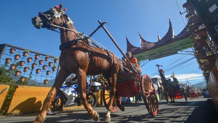 Arak-arakan bendi dan bugih melintasi kawasan Pasar Padangpanjang, Sumatera Barat, Minggu (26/6/2022). Arak-arakan tersebut digelar Pemkot Padangpanjang dalam rangka pelaksanaan Pacu Kuda Alek Anak Nagari Padangpanjang, Batipuah, X Koto. ANTARA FOTO/Iggoy el Fitra/foc.