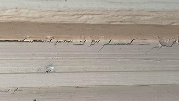 Mirip tulisan kuno, padahal serat kayu. Foto: Brightside