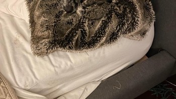 Dikira selimut, padahal... Foto: Brightside