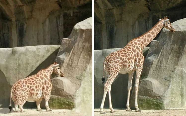 fotoinet fotograf viral tapi diedit
