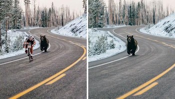 Foto beruang mengejar pengendara sepeda ini hanya tipuan. Meski tidak banyak informasi mengenai foto aslinya, diyakini foto tersebut diambil di Taman Nasional Yellowstone. Foto: Boredpanda