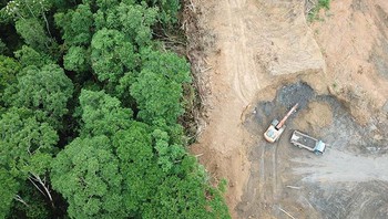 Beberapa waktu lalu tagar #10yearschallenge viral di dunia medsos. Pengguna pun berlomba membagikan foto dulu dan sekarang. Nah, foto di atas ini juga viral yang melihatkan perbedaan hutan 10 tahun yang lalu. Faktanya, foto ini sebenarnya adalah tempat yang sama dan di waktu yang sama, namun sengaja dibuat kolase sehingga seolah-oleh terlihat seperti perubahan selama 10 tahun. Foto: Boredpanda