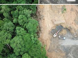 Banyak yang Tertipu, Kumpulan Foto Viral Ini Ternyata Editan