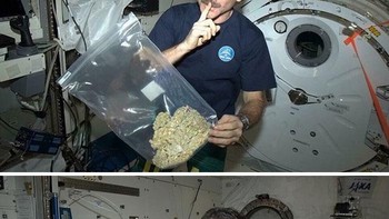 Astronaut Chris Hadfiels yang gemar membuat vlog tentang kehidupannya sebagai astronot sempat membuat heboh karena dirinya membawa mariyuana dalam kantong plastik saat bertugas ke luar angkasa. Faktanya, ia sebenarnya membawa benda lain yang mirip dengan telur. Foto: Boredpanda