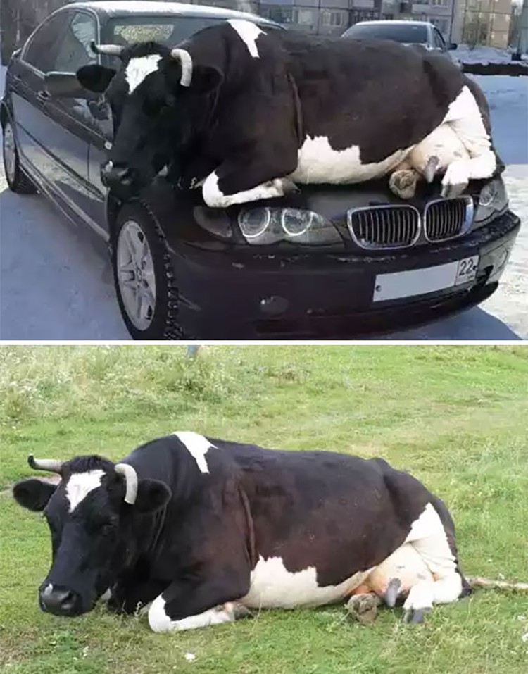 fotoinet foto viral tapi diedit fotoinet foto viral tapi diedit