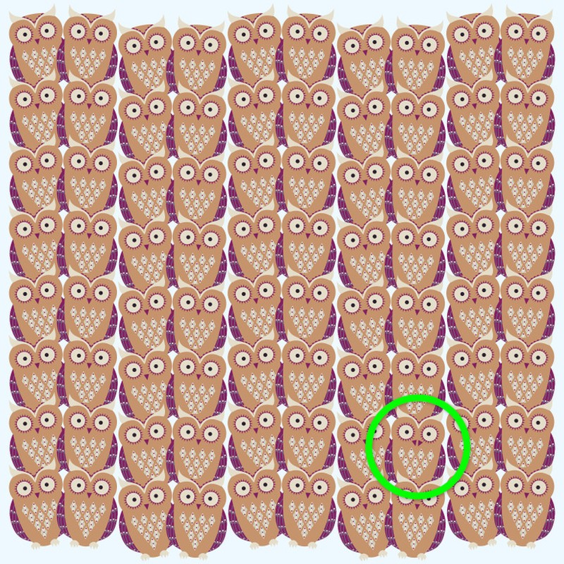 Fotoinet uji kecermatan mata dan otak