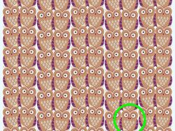 Yuk Asah Konsentrasi Kamu dengan Temukan Objek Tersembunyi