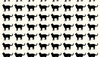 Ada satu bentuk kucing yang berbeda, bisa temukan? Foto: Brightside