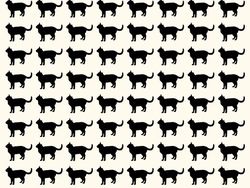 Yuk Asah Konsentrasi Kamu dengan Temukan Objek Tersembunyi