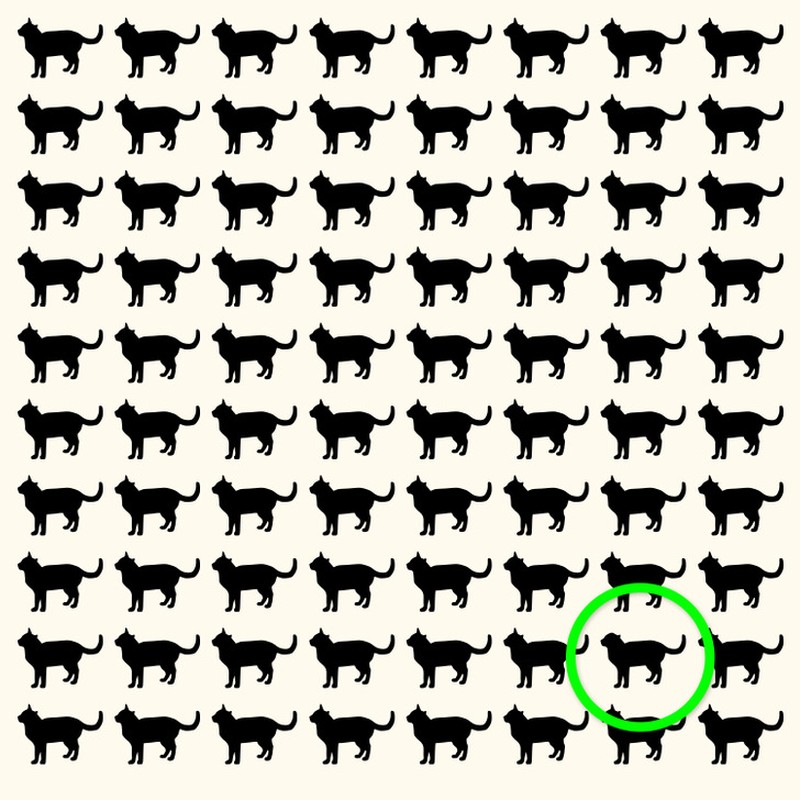 Fotoinet uji kecermatan mata dan otak