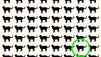 Ini dia jawabannya. Foto: Brightside