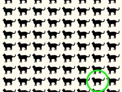 Yuk Asah Konsentrasi Kamu dengan Temukan Objek Tersembunyi