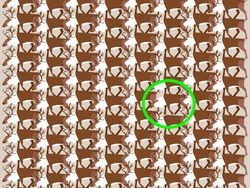 Yuk Asah Konsentrasi Kamu dengan Temukan Objek Tersembunyi