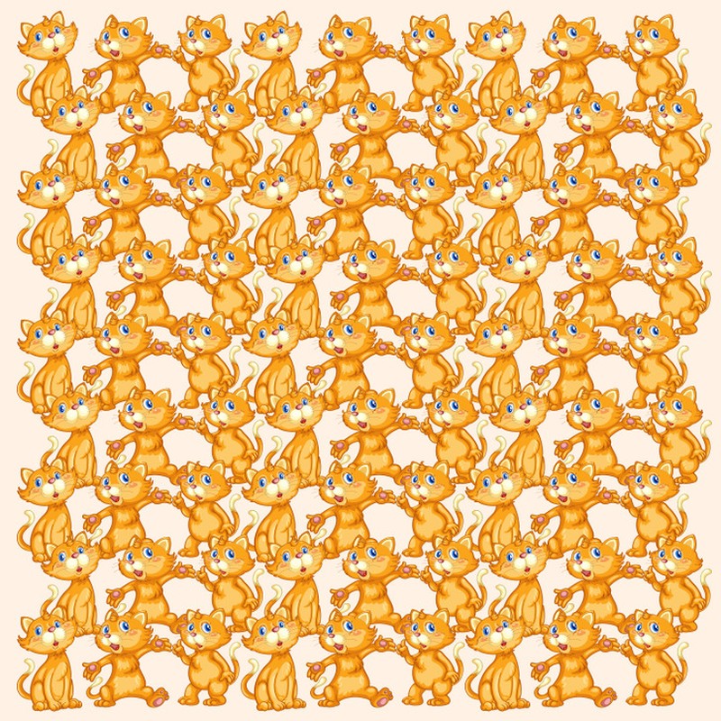 Fotoinet uji kecermatan mata dan otak