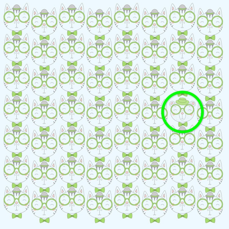 Fotoinet uji kecermatan mata dan otak