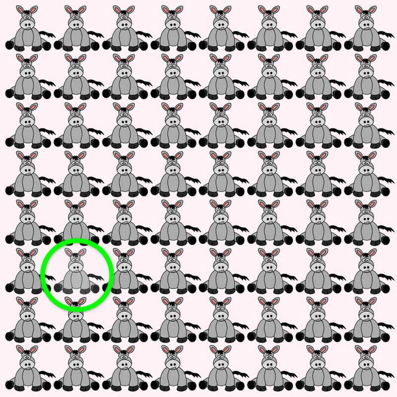 Fotoinet uji kecermatan mata dan otak