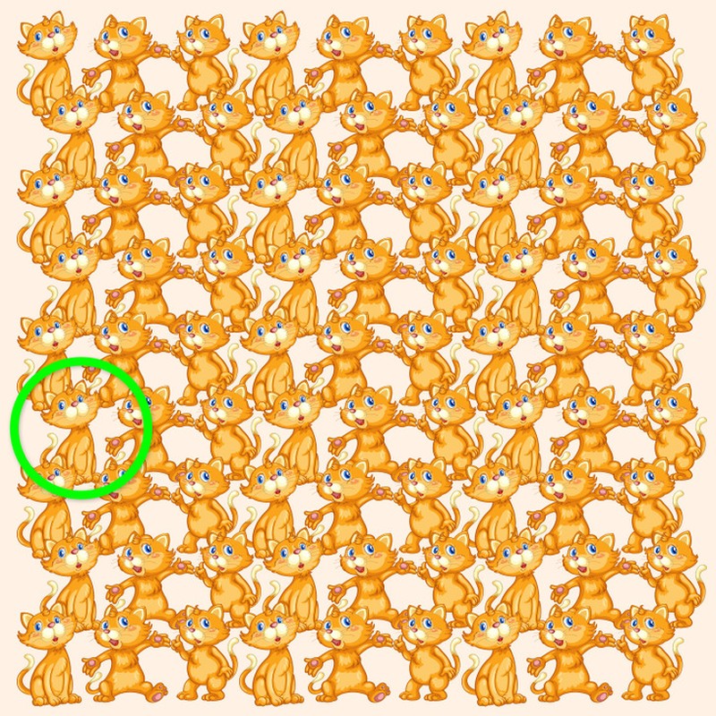 Fotoinet uji kecermatan mata dan otak